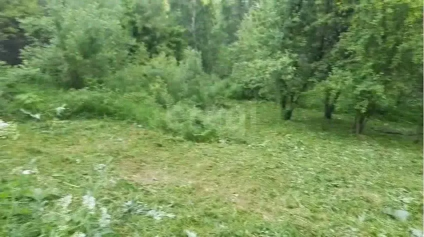 Участок в Алтай, Горно-Алтайск Строитель СНТ, 228 (10.0 сот.) - Фото 1