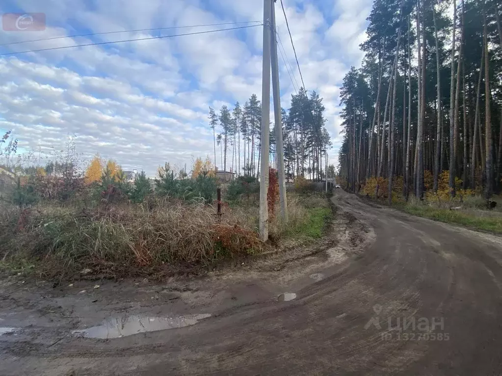 Участок в Воронежская область, Рамонский район, д. Новоподклетное ул. ... - Фото 1