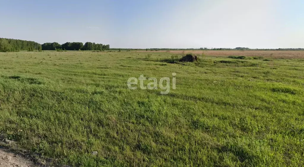 Участок в Новосибирская область, Новосибирский район, Криводановский ... - Фото 1