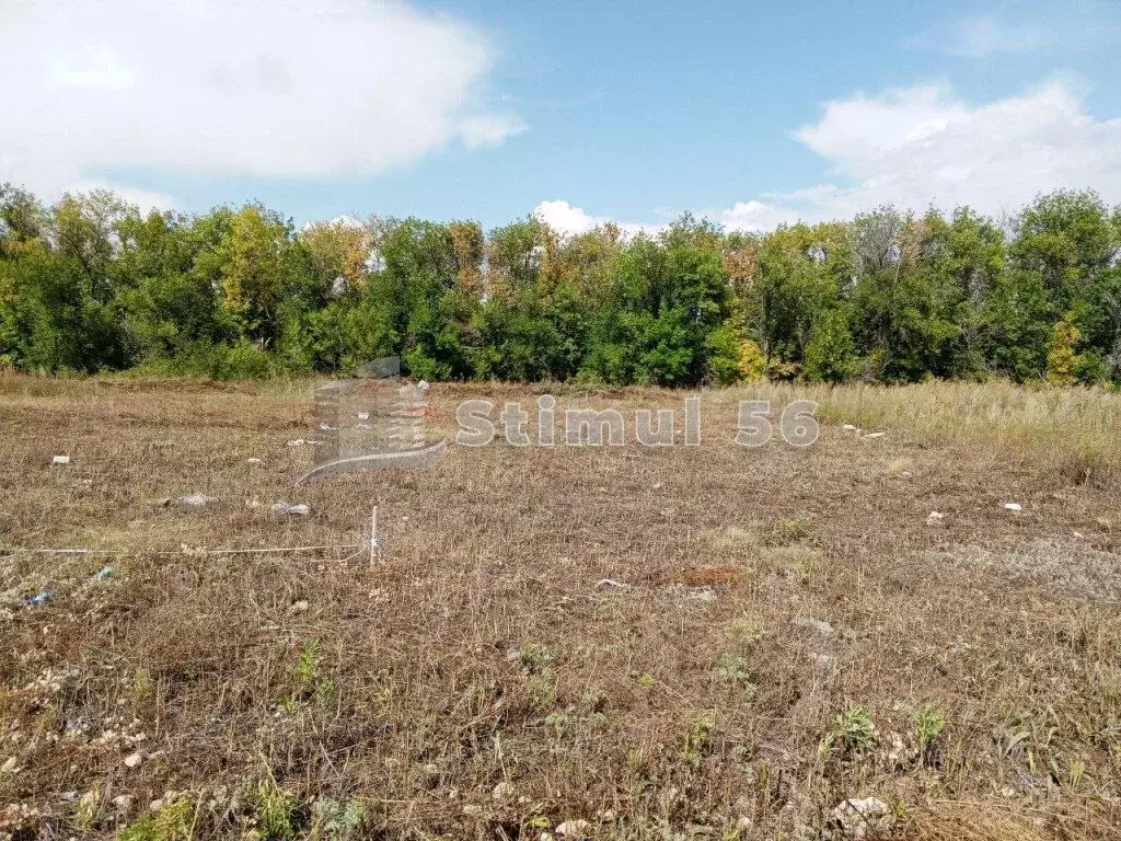 Участок в Оренбургская область, Оренбургский район, с. Благословенка ... - Фото 2