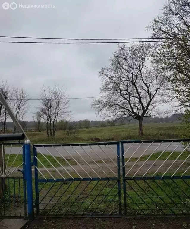 3-комнатная квартира: Калининград, улица Черняховского, 34 (53 м) - Фото 1