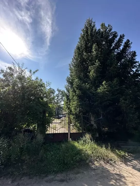 Участок в Калининградская область, Светловский городской округ, пос. ... - Фото 1