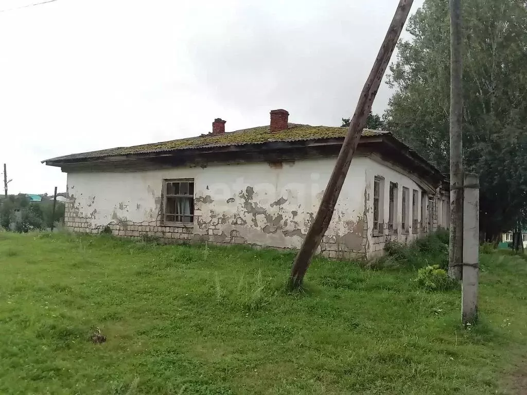 Участок в Пермский край, Бардымский муниципальный округ, село ... - Фото 1