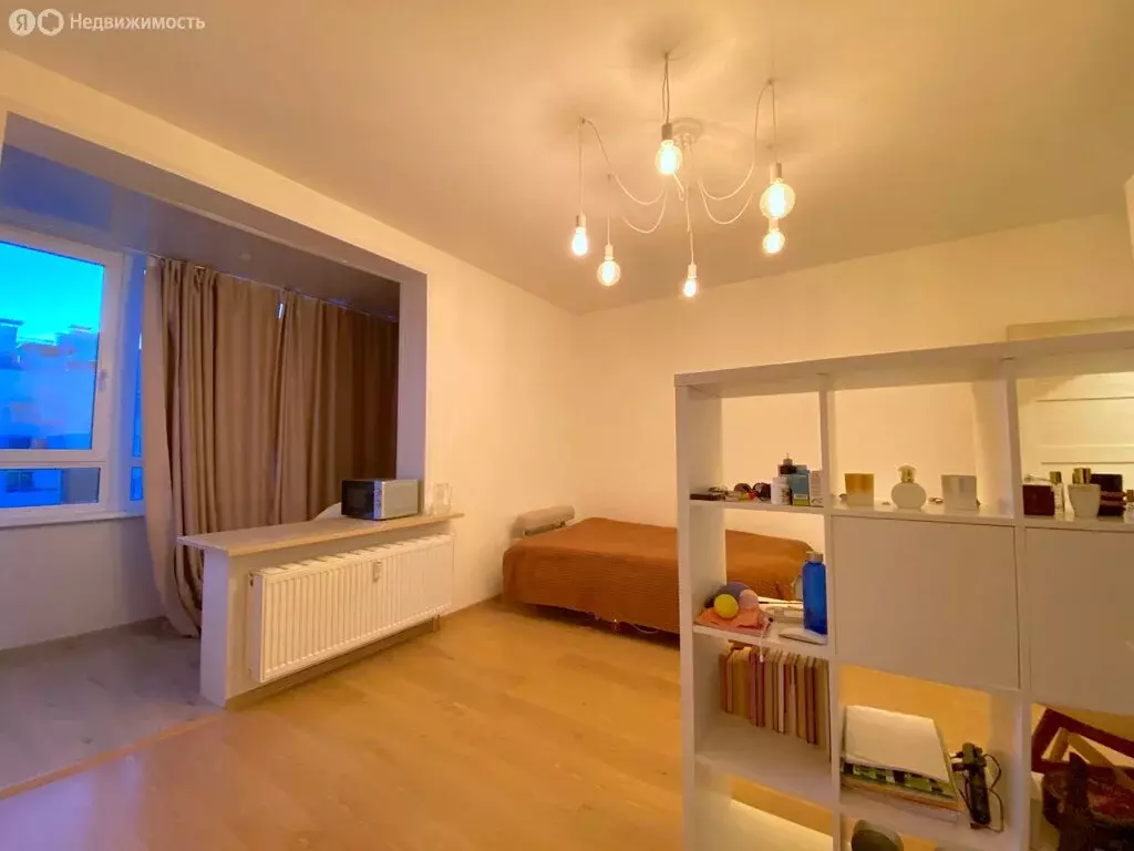 Квартира-студия: Санкт-Петербург, Арцеуловская аллея, 23к1 (25.2 м) - Фото 0