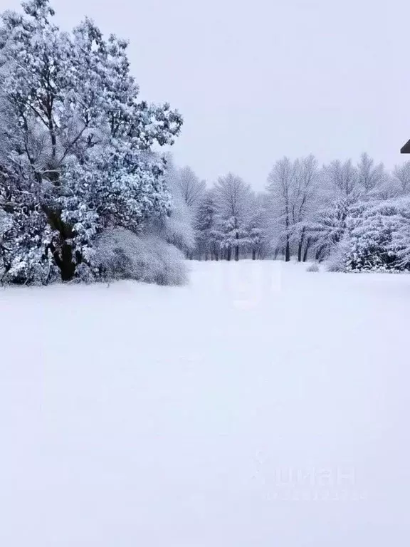 Участок в Ярославская область, Ростовский муниципальный округ, д. ... - Фото 1