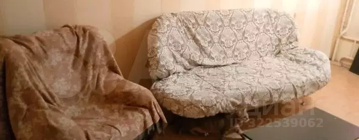 Комната Челябинская область, Челябинск ул. Руставели, 25 (16.0 м) - Фото 1