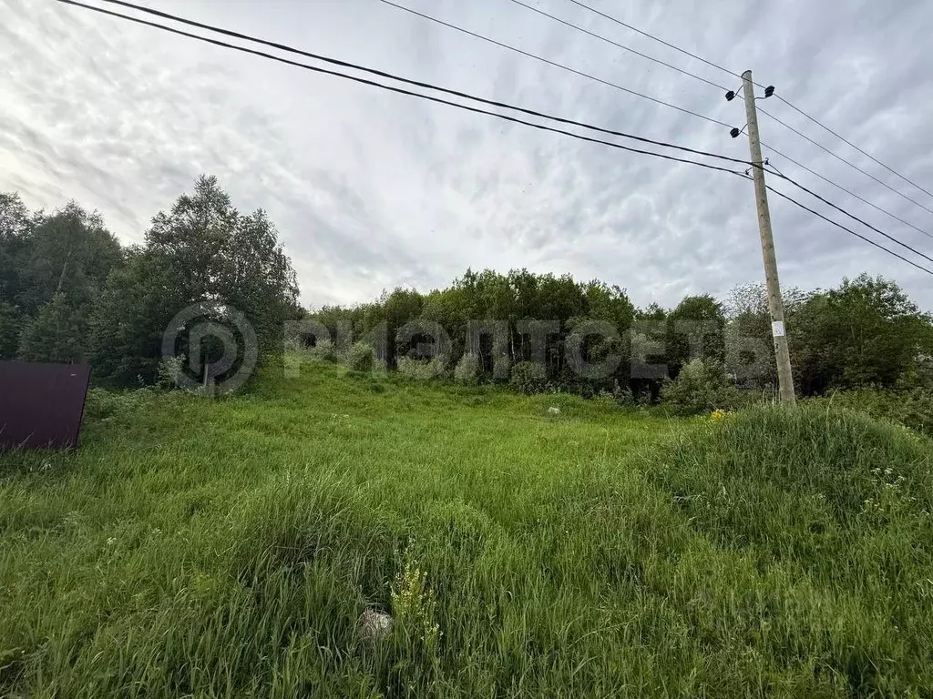 Участок в Мурманская область, Кольский район, Молочный городское ... - Фото 1