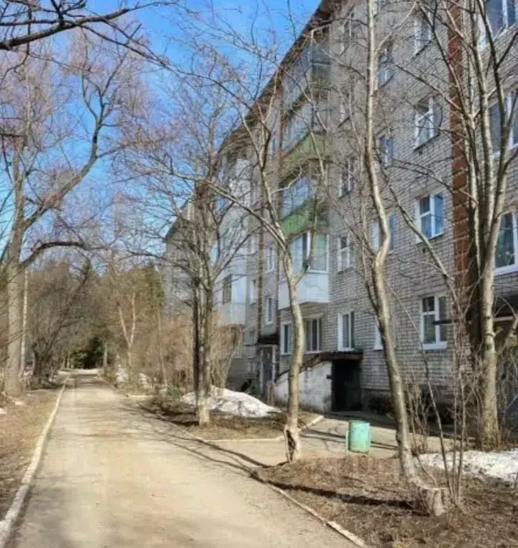 2-к кв. Пермский край, Добрянка Советская ул., 97А (44.3 м) - Фото 2
