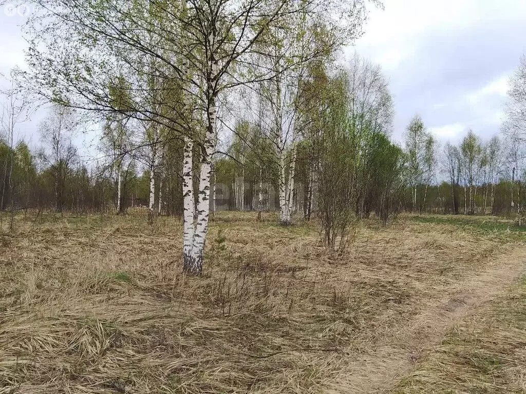 Участок в Тверская область, Калининский муниципальный округ, деревня ... - Фото 1