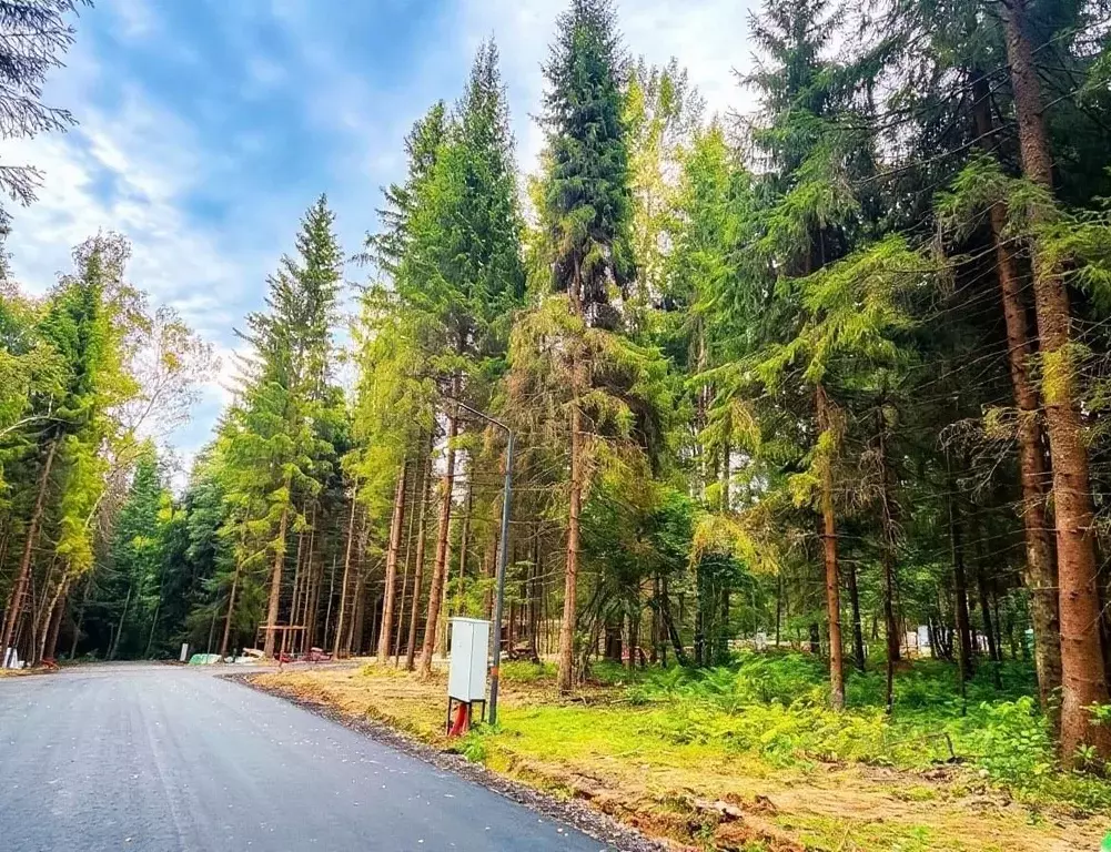 Участок в Московская область, Звенигород Одинцовский городской округ,  ... - Фото 1