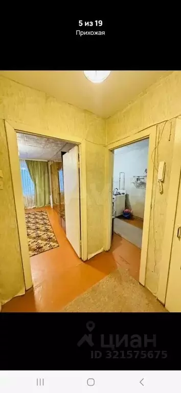 1-к кв. Владимирская область, Владимир ул. Усти-на-Лабе, 36 (34.0 м) - Фото 1