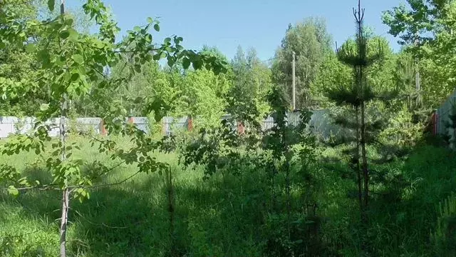 Участок 15 сот. (ИЖС) - Фото 0