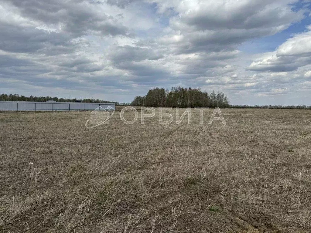 Участок в Тюменская область, Тюменский район, с. Каменка  (12.2 сот.) - Фото 1