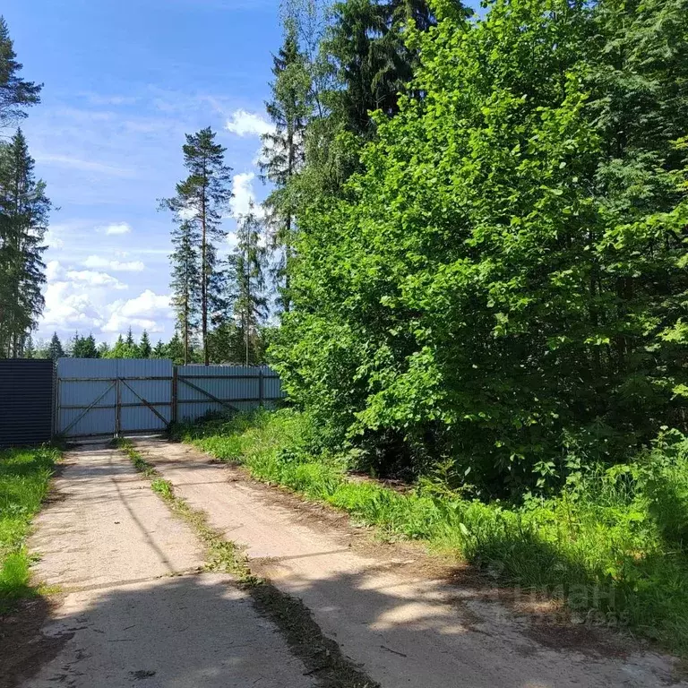 Участок в Московская область, Одинцовский городской округ, д. Сивково, ... - Фото 2