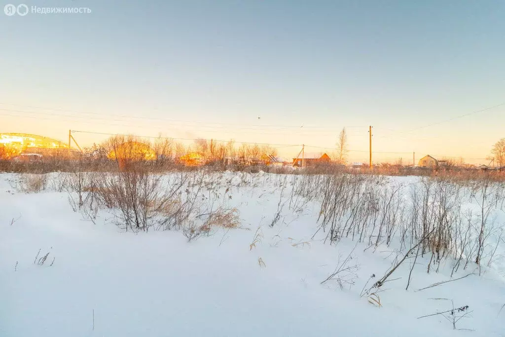 Участок в Тюмень, садовое товарищество Царево (1139 м) - Фото 2