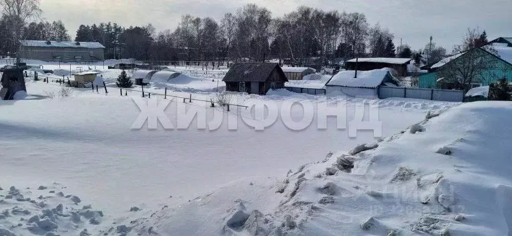 Участок в Новосибирская область, Новосибирский район, Станционный ... - Фото 2