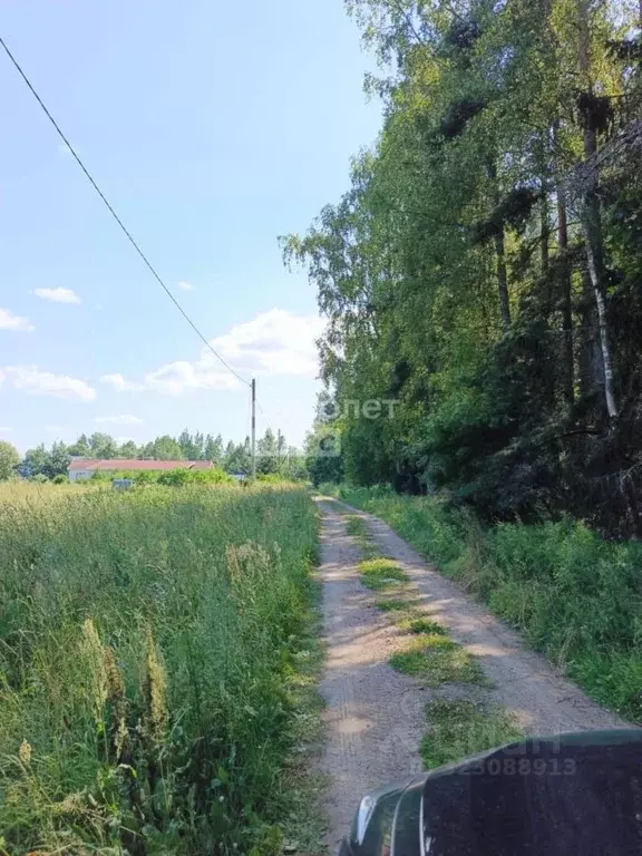 Участок в Ленинградская область, Кингисеппский район, Куземкинское ... - Фото 1