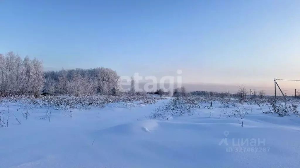 Участок в Тульская область, Тула городской округ, д. Новая Знаменка  ... - Фото 1