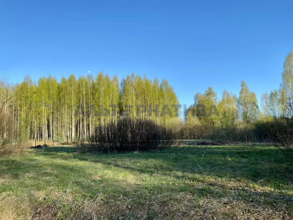 Участок в Ярославская область, Переславль-Залесский муниципальный ... - Фото 1