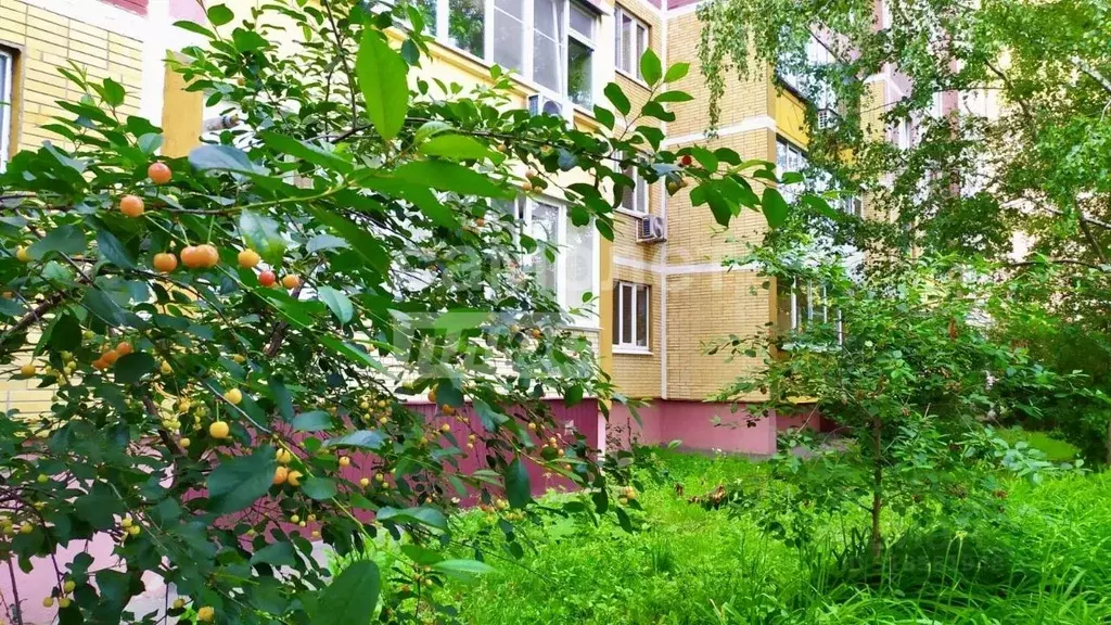 1-к кв. Курская область, Курск просп. Хрущева, 16 (41.1 м) - Фото 0