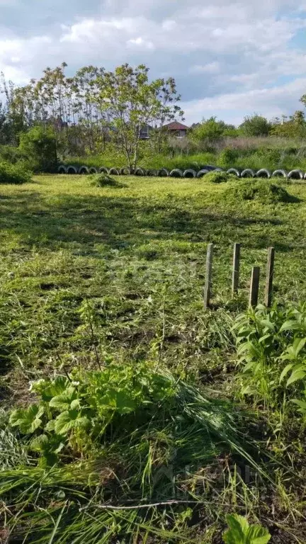 Участок в Ростовская область, Ростов-на-Дону Огородник ОНТ, ул. 3-я ... - Фото 1