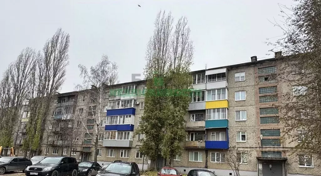 1-к кв. Саратовская область, Вольск ул. Кольцова, 7 (28.7 м) - Фото 1