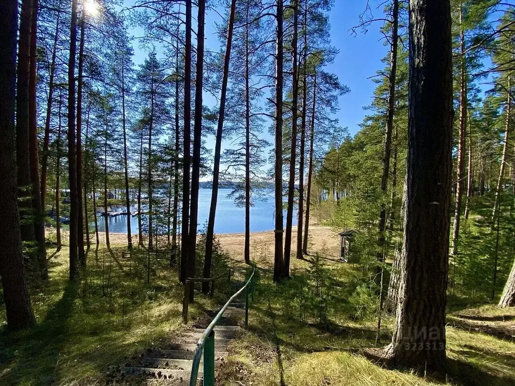 Участок в Ленинградская область, Приозерский район, Петровское с/пос, ... - Фото 1