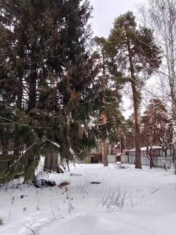 Участок в Московская область, Люберцы городской округ, Малаховка пгт ... - Фото 0