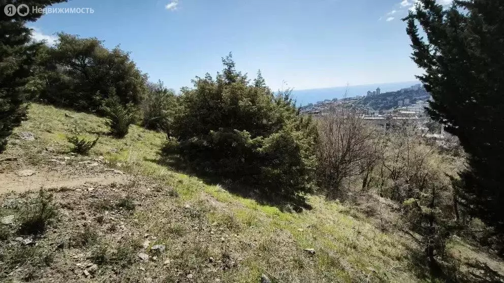 Участок в Республика Крым, Ялта (7 м) - Фото 2
