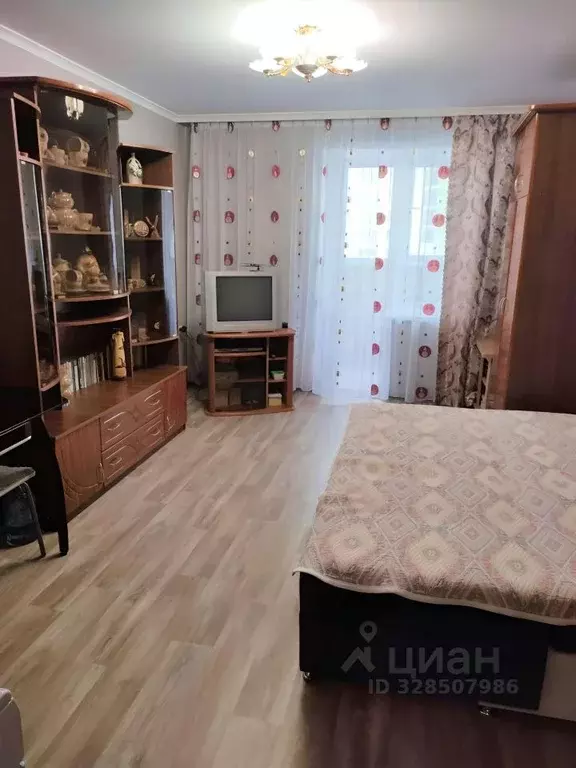 Студия Пензенская область, Пенза ул. 65-летия Победы, 19 (23.0 м) - Фото 1