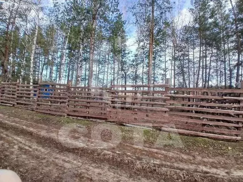 Участок в Рамонский район, Новоживотинновское сельское поселение, ... - Фото 1