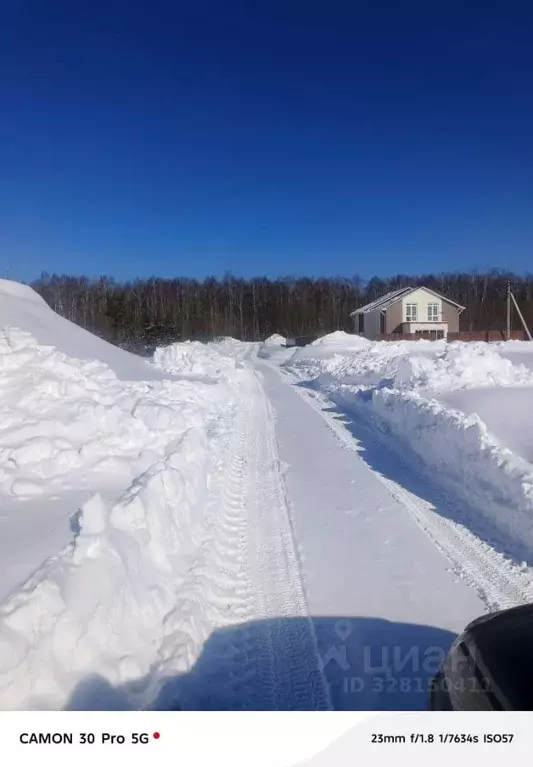 Участок в Нижегородская область, с. Безводное  (8.3 сот.) - Фото 2