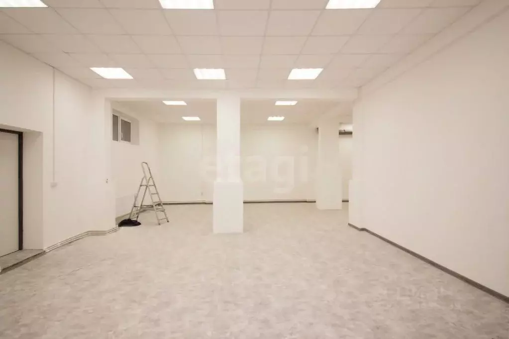 Помещение свободного назначения в Калужская область, Калуга ул. ... - Фото 1