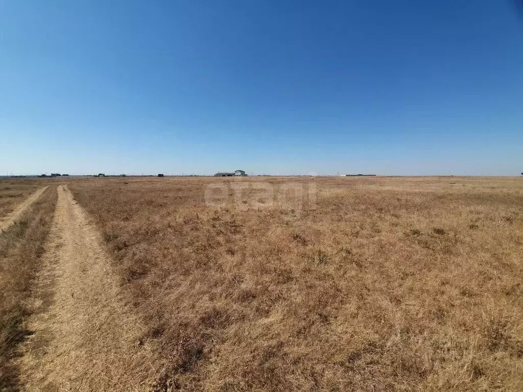 Участок в Крым, Сакский район, Молочненское с/пос, с. Витино  (6.0 ... - Фото 1