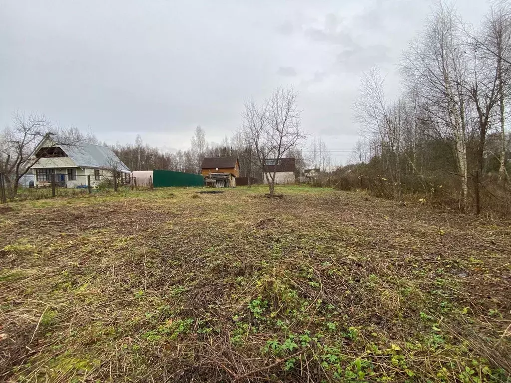 Участок в Московская область, Клин городской округ, Шанс садовое ... - Фото 1