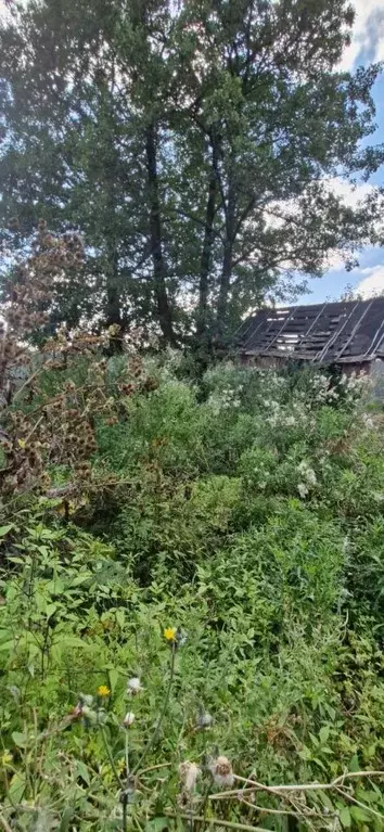 Участок в Брянская область, Брянск Большое Полпино пгт, 1-й Кирпичный ... - Фото 0