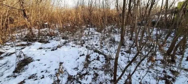 Участок в Башкортостан, Благоварский район, с. Мирный  (6.3 сот.) - Фото 1