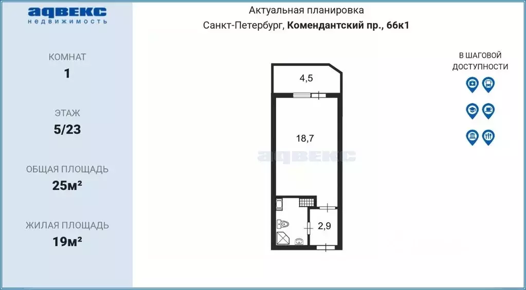 Студия Санкт-Петербург Комендантский просп., 66к1 (25.0 м) - Фото 1