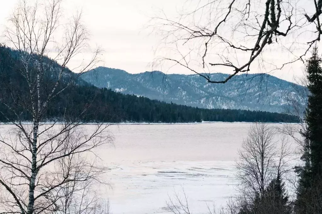 Дом в Алтай, Турочакский район, с. Артыбаш Телецкая ул., 128Б (76 м) - Фото 2