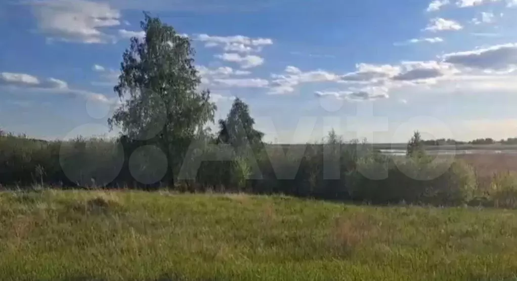 Участок 50 сот. (СНТ, ДНП) - Фото 0