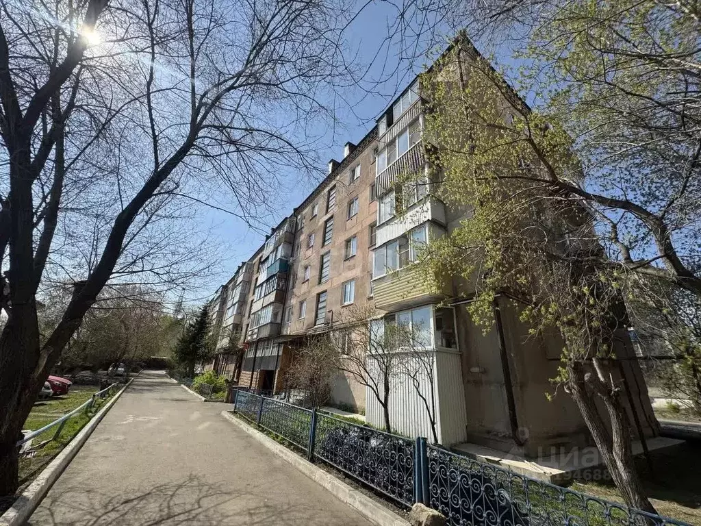 3-к кв. Курганская область, Шадринск ул. Степана Разина, 48 (51.8 м) - Фото 1
