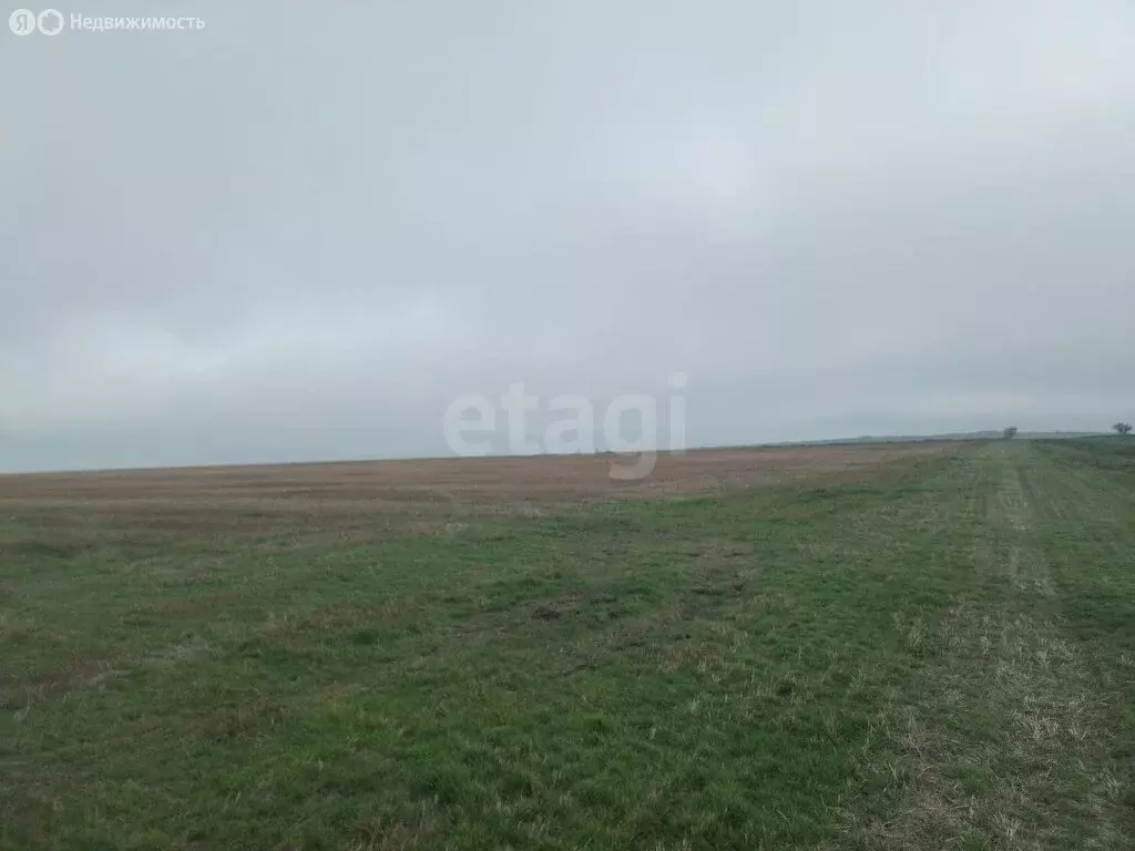 Участок в Каменское, улица Юго-восточная часть (9.06 м) - Фото 2