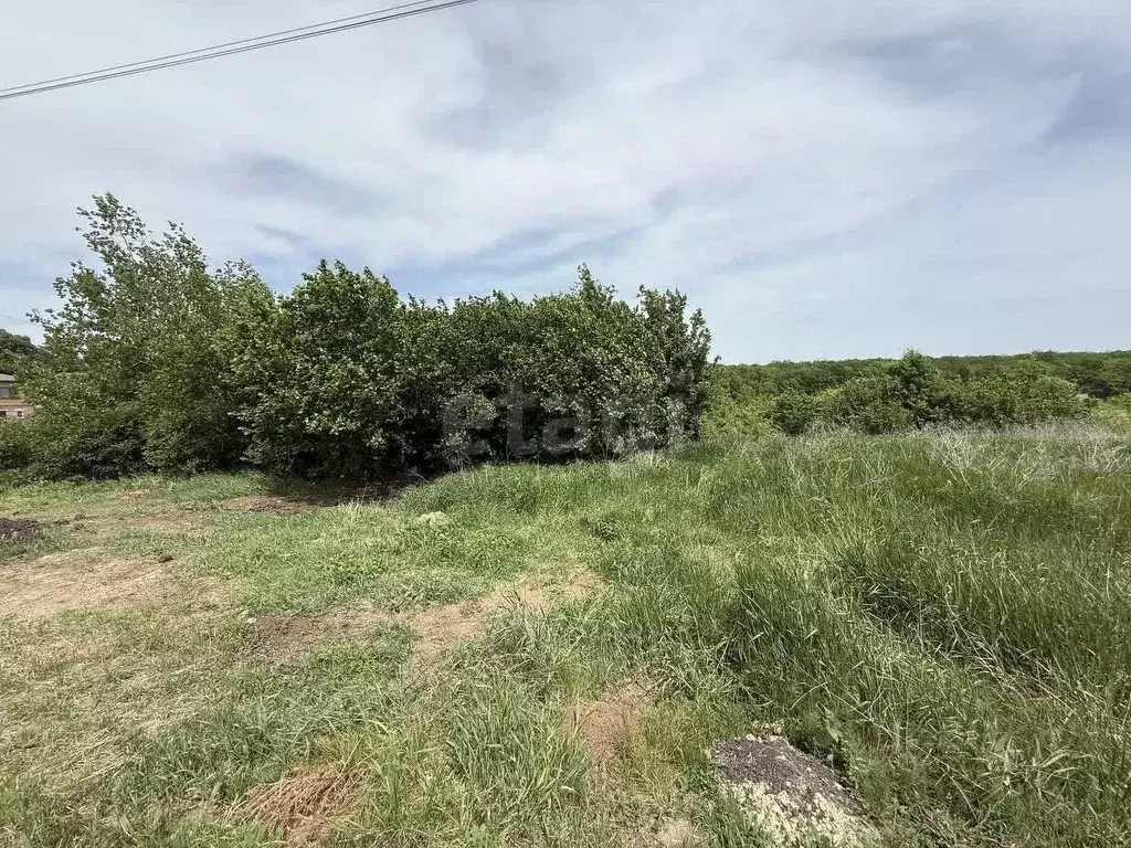 Участок в Белгородская область, Белгородский район, Дубовское с/пос, ... - Фото 0