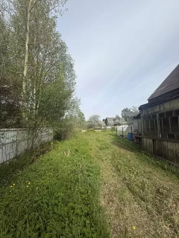 Участок в Ленинградская область, Всеволожск Александровская ул., 36 ... - Фото 1