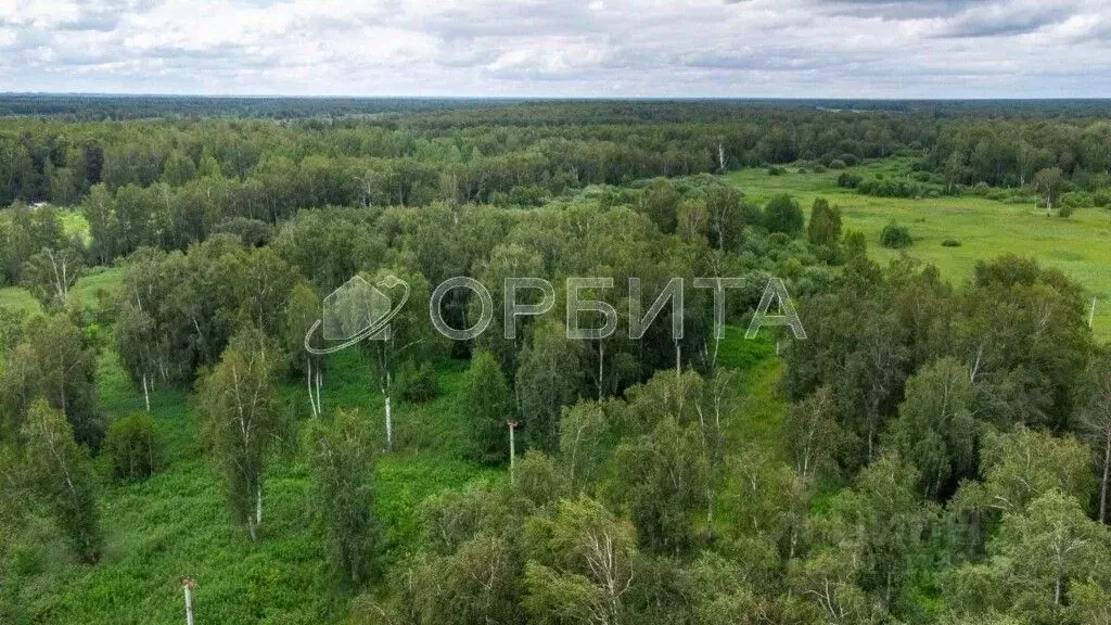 Участок в Тюменская область, Тюменский район, д. Решетникова  (5.0 ... - Фото 1