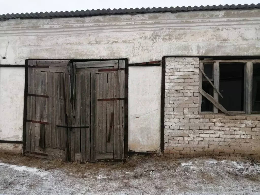 Помещение свободного назначения в Оренбургская область, Оренбургский ... - Фото 1