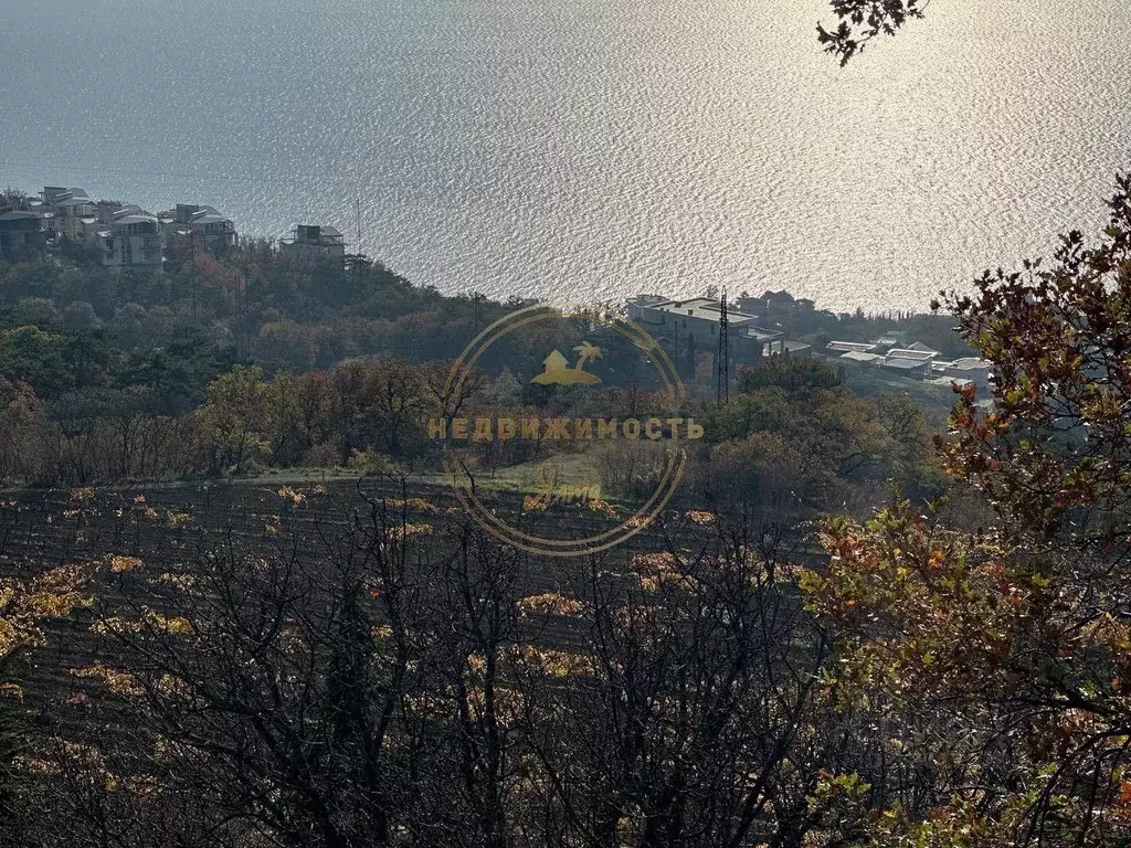 Участок в Крым, Ялта муниципальный округ, Массандра пгт ш. ... - Фото 1