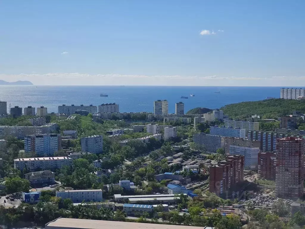 1-к кв. Приморский край, Владивосток ул. Нейбута, 8 (30.0 м) - Фото 1