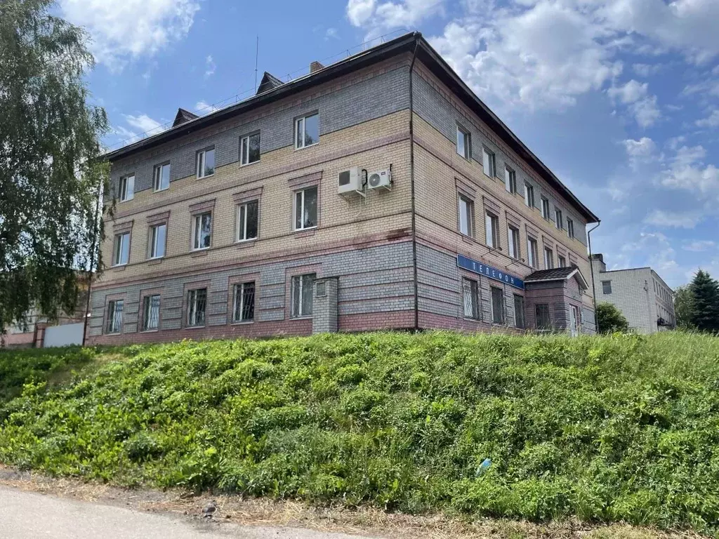 Помещение свободного назначения в Нижегородская область, Большое ... - Фото 2
