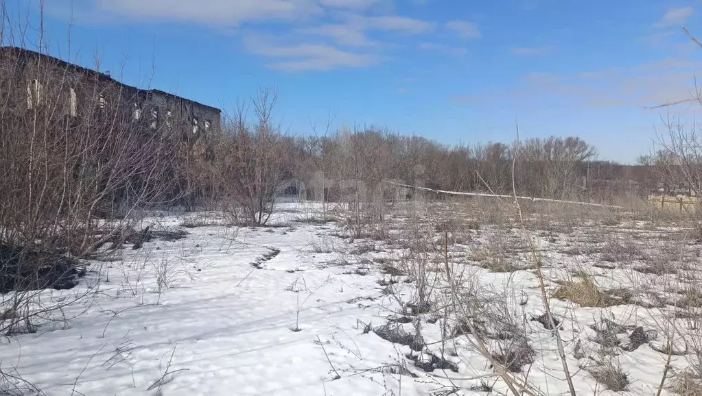 Участок в Саратовская область, Балашов Советская ул., 172 (11.0 сот.) - Фото 1